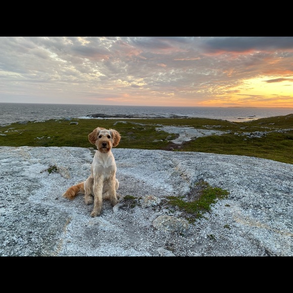 Meet your Posher, Nicolle (📍Halifax, NS) - Picture 7 of 8